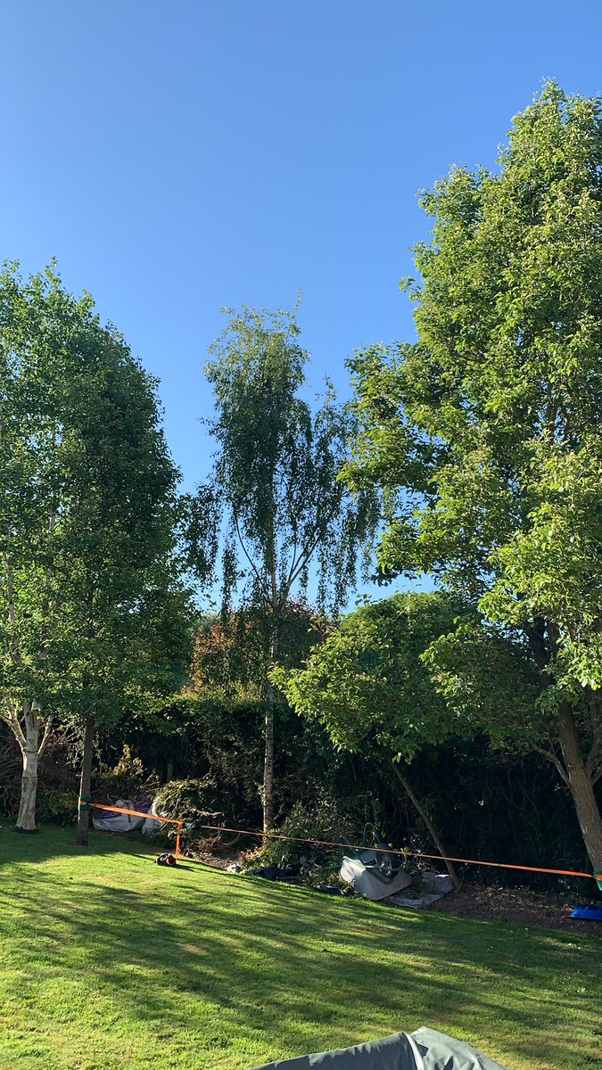 drdannaylor's tweet photo. Another beautiful day on planet earth #deesculation #cleanair https://t.co/0m22ijUly5