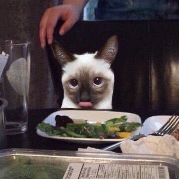 *:･ﾟ◡̈ 𝐦𝐚𝐫𝐤𝐮 ♡‧₊˚ tweet media
