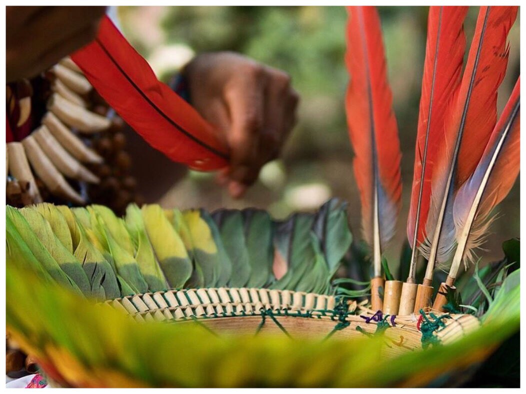 A rare glimpse at the sacred ritual of creating a Taita crown.

#Colombianamazon #Shaman #indigenousculture #amazonianpreservation #macawfeathers