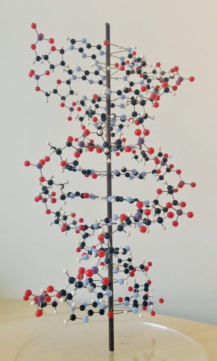 Scientist_ND's tweet photo. Day 2/7, no words just images. I was nominated by @jobthijssen, today I nominate @UoEChemunity https://t.co/3sY3V6B8bR