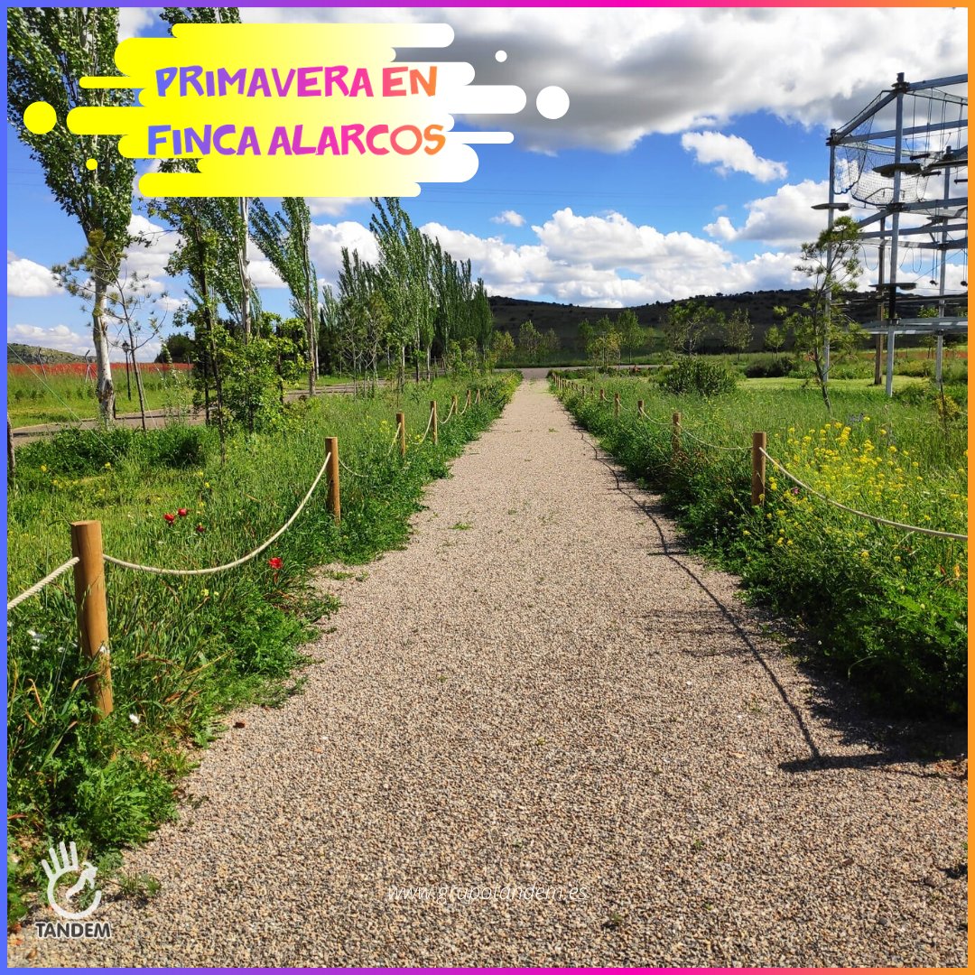 tandemactivo's tweet photo. Año de lluvias y sol y eso se nota en Finca Alarcos. En breve estará llena de actividad. https://t.co/XxiS1HuqCR