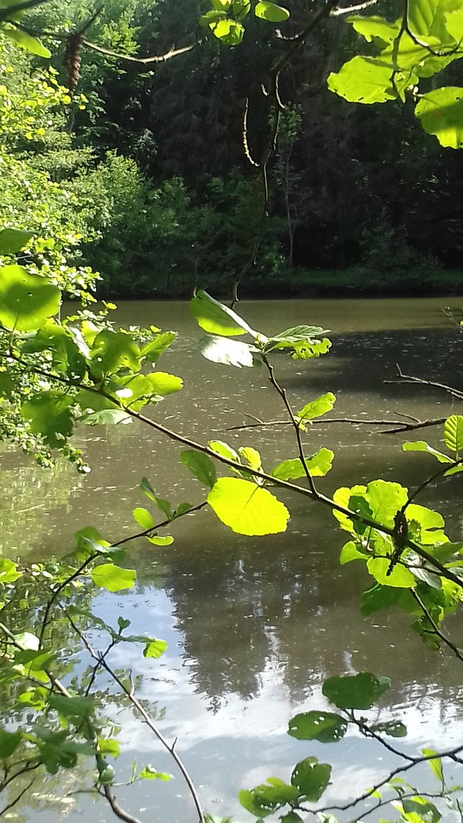 Bonjour et bonne journée à toutes et à tous, bon courage aux personnes qui travaillent 😀