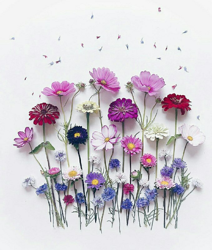 Nancy (حساب جديد) tweet media