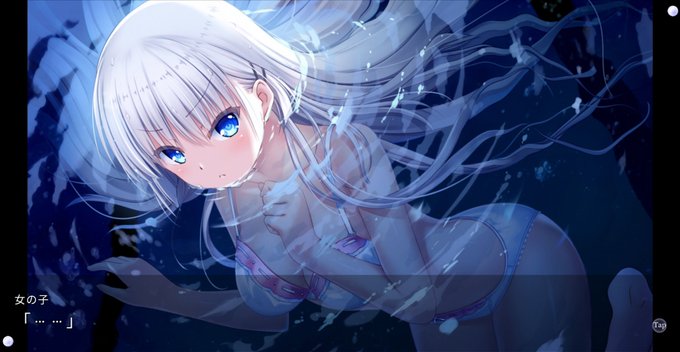 鳩様 デジタルイラスト Www Vetrepro Fr