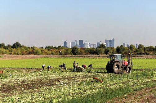 linstitutPR_int's tweet photo. There are 800 farms in Paris Region where #shortfood circuits are in place (photo: Plain of Montesson)
https://t.co/AoVQeG9iMP
@idfterresaveurs @CityAgri @EIPAGRI_SP @ERSA_org @ClavierFabien https://t.co/hooELcCEbq