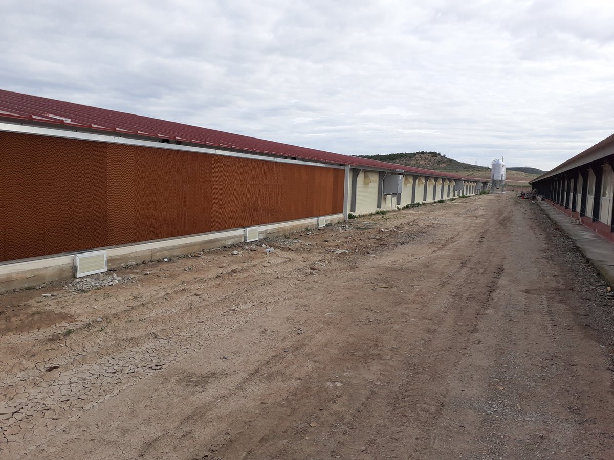 EXAFAN_oficial's tweet photo. ¡Seguimos avanzando con todos nuestros proyectos! Aquí podéis ver unas imágenes de una nueva #granja de pollos a punto de ser entregada. Un completo proyecto que cuenta con todos los sistemas de control climático y todo el equipamiento de #Exafan. https://t.co/w7TM9PKldz