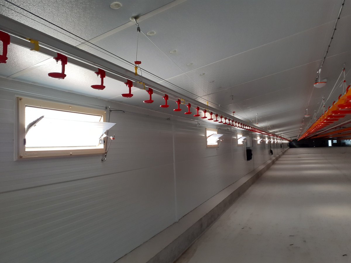 EXAFAN_oficial's tweet photo. ¡Seguimos avanzando con todos nuestros proyectos! Aquí podéis ver unas imágenes de una nueva #granja de pollos a punto de ser entregada. Un completo proyecto que cuenta con todos los sistemas de control climático y todo el equipamiento de #Exafan. https://t.co/w7TM9PKldz