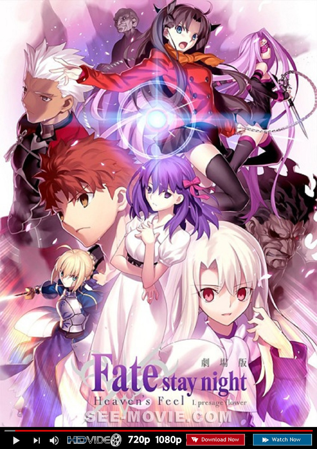 Animes Vision - Olá pessoal, só avisando que o filme de Fate/stay night  Movie: Heaven's Feel - III. Spring Song já se encontra em nosso site em  Blu-Ray. Segue o link