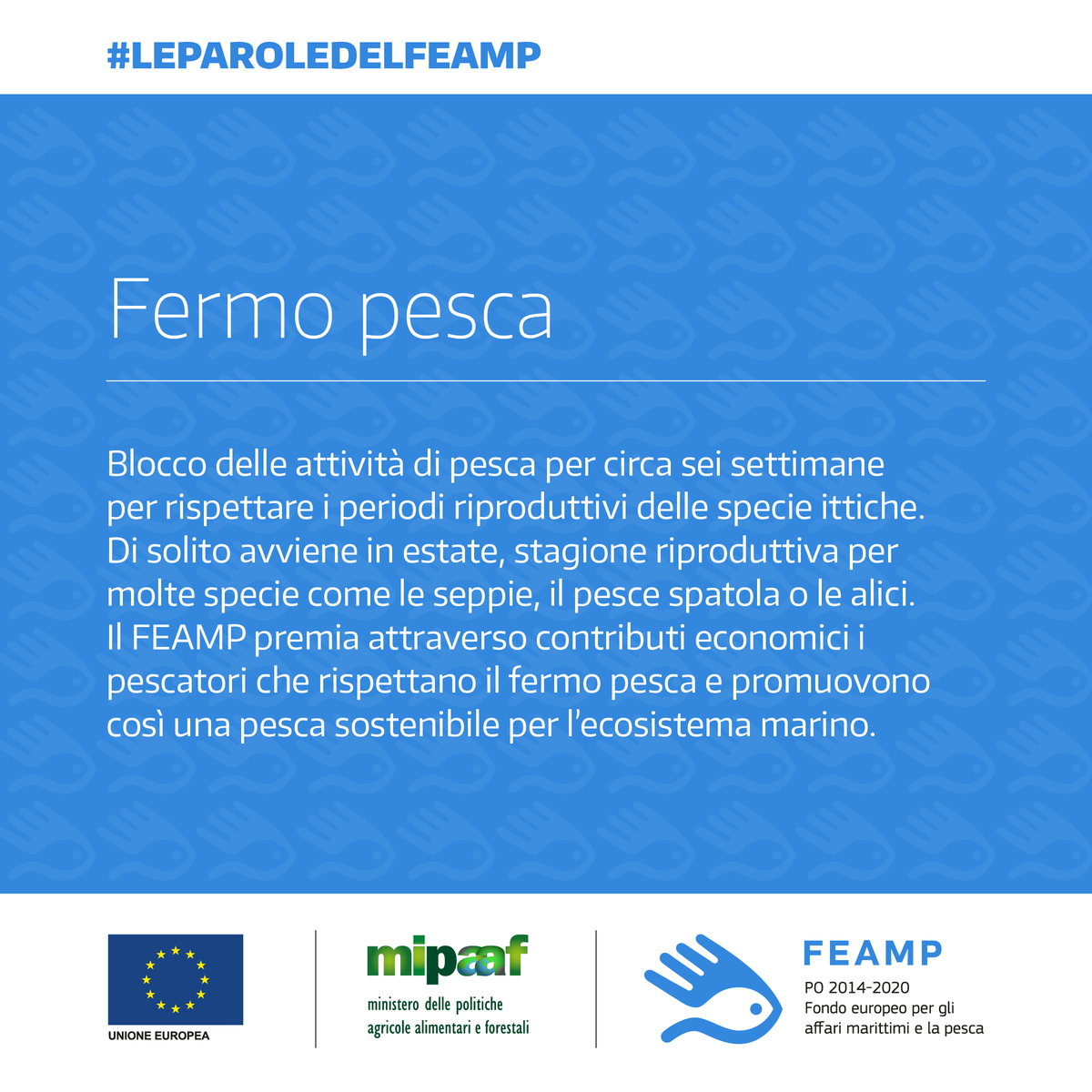 pofeamp's tweet photo. Sapevi che il fermo pesca dura circa sei settimane ed è importante affinchè le specie adatte al consumo possano riprodursi? Lo scopriamo oggi con #leparoledelfeamp | #alimentazionesana #sanaalimentazione #FishFriday #healtyfood #pesceintavola #eatmorefish #responsaibleseafood https://t.co/5CctlaptCr
