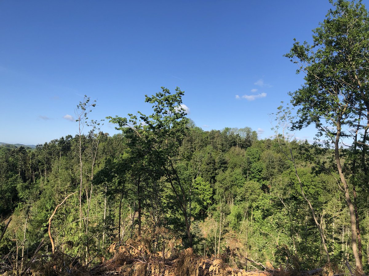 SaveGarthCoppice 🍃💚🍃 tweet media