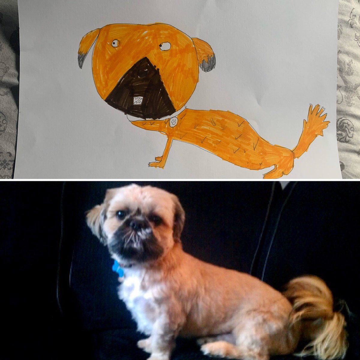 vicky_beaman's tweet photo. @3sTheMagicNumb1 Eviie’s drawing of our Pet dog Teaser https://t.co/udqO4WDEm0