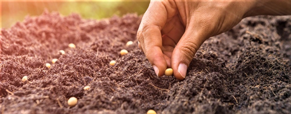 5/n - Contd…  #SAMASKAR - 1 ::GarbhaDhan (गर्भाधान) Add Remarks-Just like a SOIL is properly prepared before placing SEED, to ensure Growth & health of the Plant, similarly, before Planning to Conception, the Womb /Ovum of the Mother blessed to materialize the Conception.