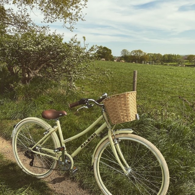 Did you know that May is National Walking Month? Where possible, take some time for yourself to enjoy your local surroundings whilst getting those steps in. We'd love to see your photos of your outings. Here's one from our CSA Sophie's bike ride 🚲