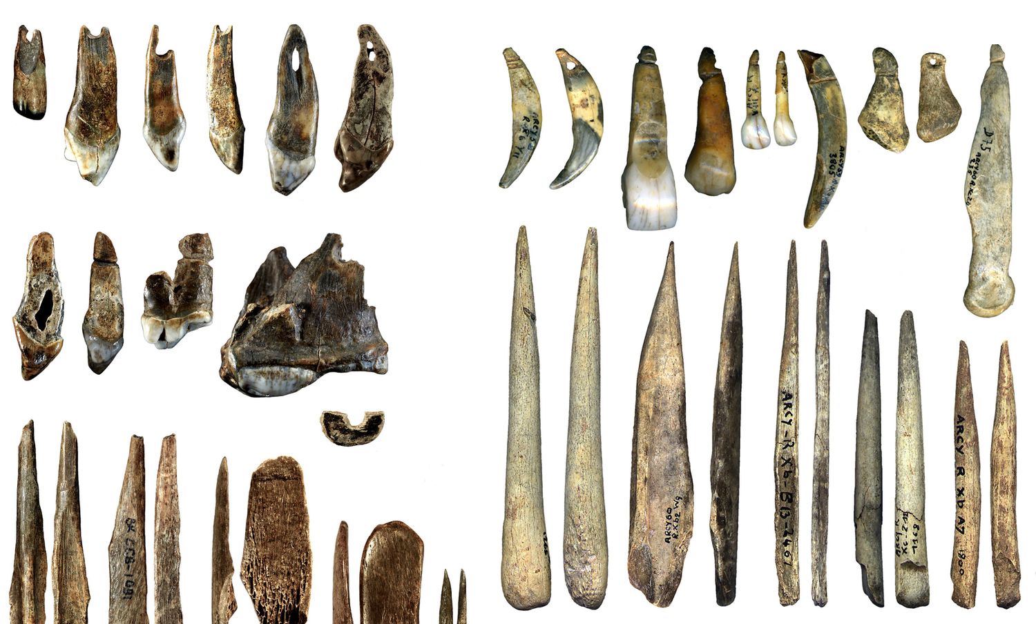 Crónica de Arqueología Twitter: "Comparación de colgantes y punzones de huesos tallados por sapiens de la cueva de Bacho Kiro-Bulgaria, hace 45.000 años y colgantes y punzones de neandertales documentados