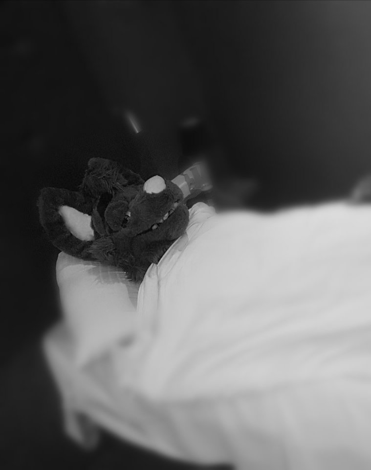 NinoxLive's tweet photo. It be sleepy times 🖤 #fursuit #furry #furryfandom #sleepytime https://t.co/lP8yLg6QCT