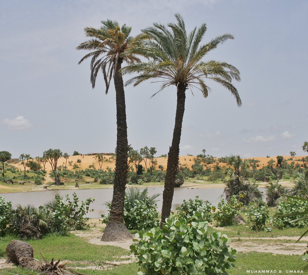 Nigeria Stories tweet media