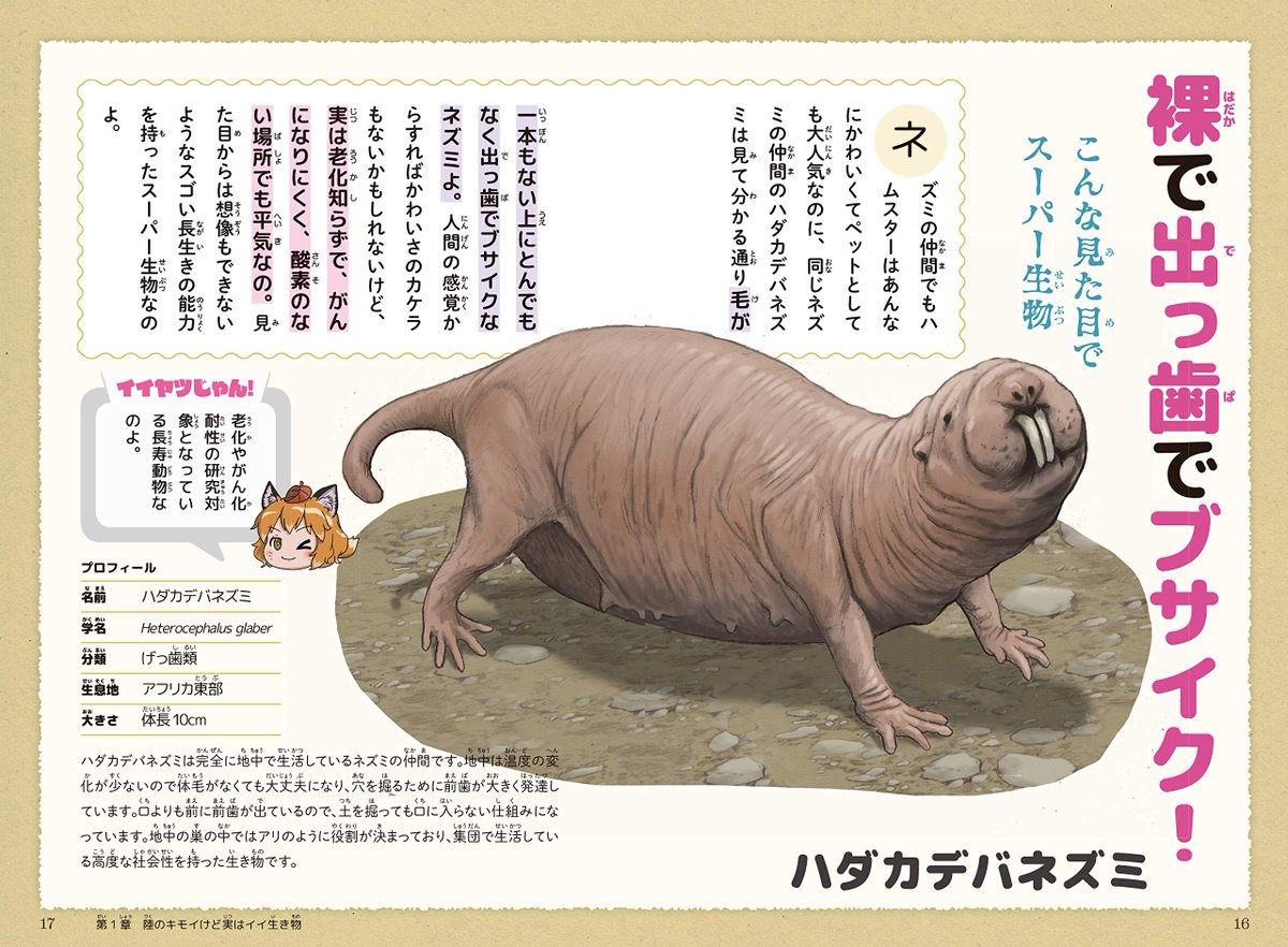 ろう へんないきものチャンネル 2冊目でるよ 本の中身チラ見せ 本の中身をちょっと公開 D゚ 生き物 の紹介は陸 空 海のパートで分かれてて きつねさんとたぬきさんが解説してます 動画で詳しく紹介してない生き物も盛りだくさん ろう へんないきものチャンネル 2冊目でるよ 本の中身チラ見せ 本の中身をちょっと公開 D゚ 生き物 の紹介は陸 空 海のパートで分かれてて きつねさんとたぬきさんが解説してます 動画で詳しく紹介してない生き物も盛りだくさん