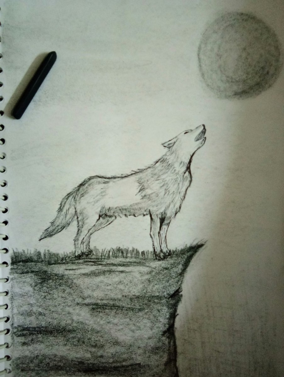 Drawing is not what one sees but what one can make others see