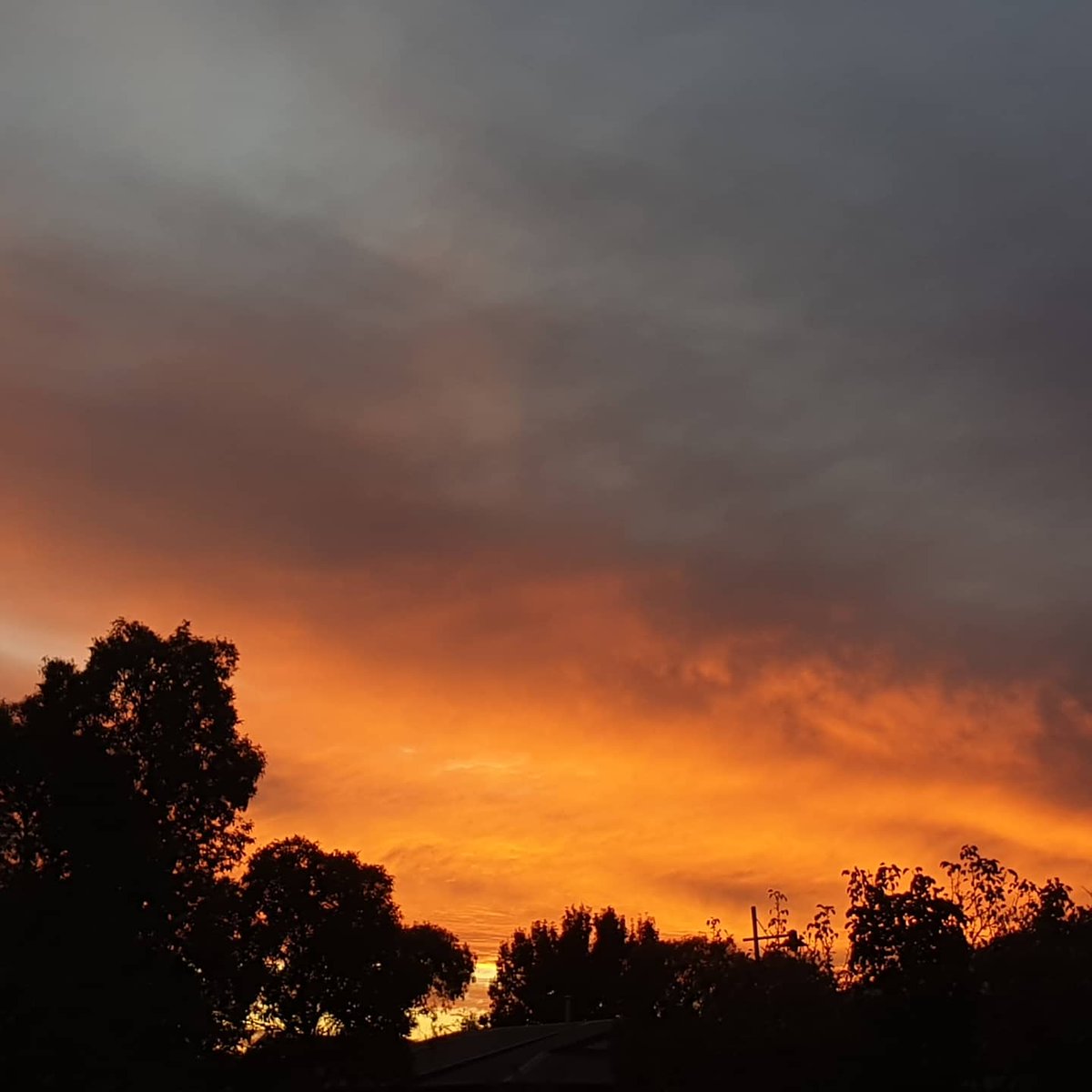 GoranSelthofer's tweet photo. @BOM_Vic Mordialloc https://t.co/ewJPDFz9US