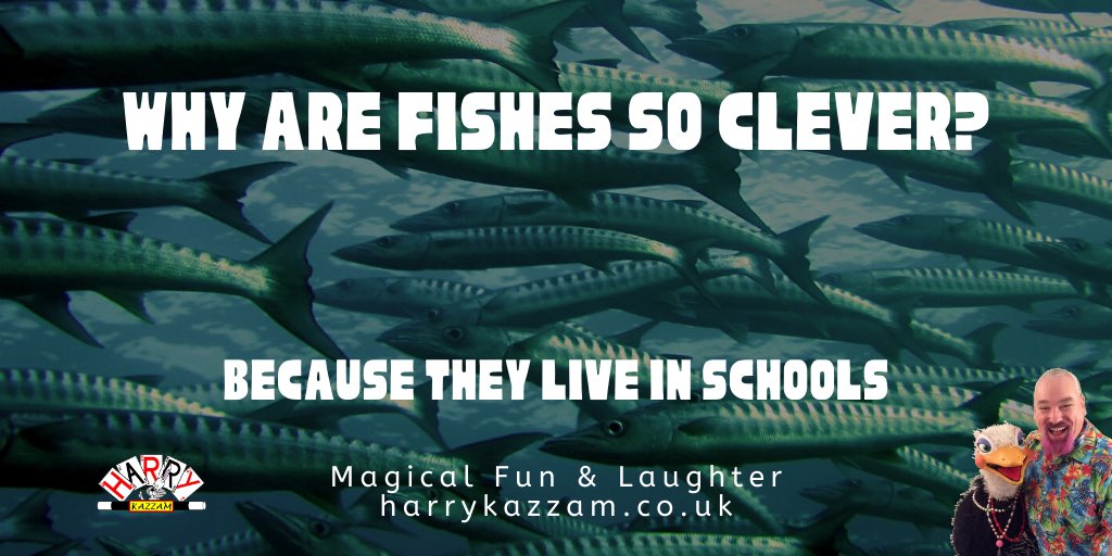 HarryKazzam's tweet photo. How’s everyone doing? Here’s a joke for today!
#jokes #lockdownblues #laughterinlockdown https://t.co/aMhkApMF5T