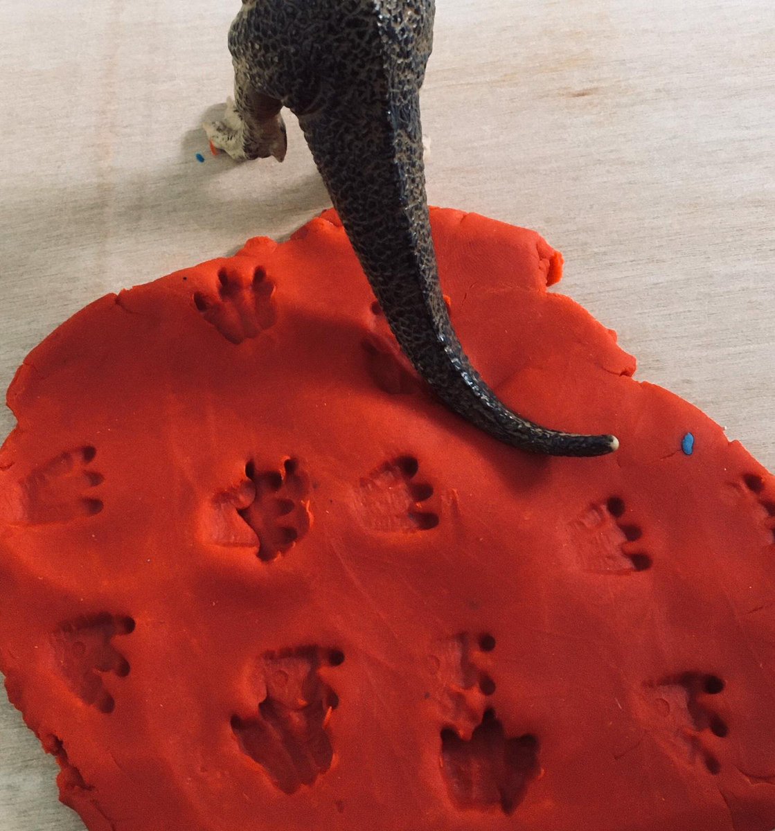 #GweithGareddDyddiol Gwnewch olion traed ffosil! 👣🦕Defnyddiwch eich teganau deinosor i sgwario'r olion traed mewn clai. Ydy'r ôl troed i gyd yn edrych yr un fath? 

#AmgueddfaGartref #DysguAdref #WelshMuseums #CultureinQuarantineMW #Amgueddfeydd