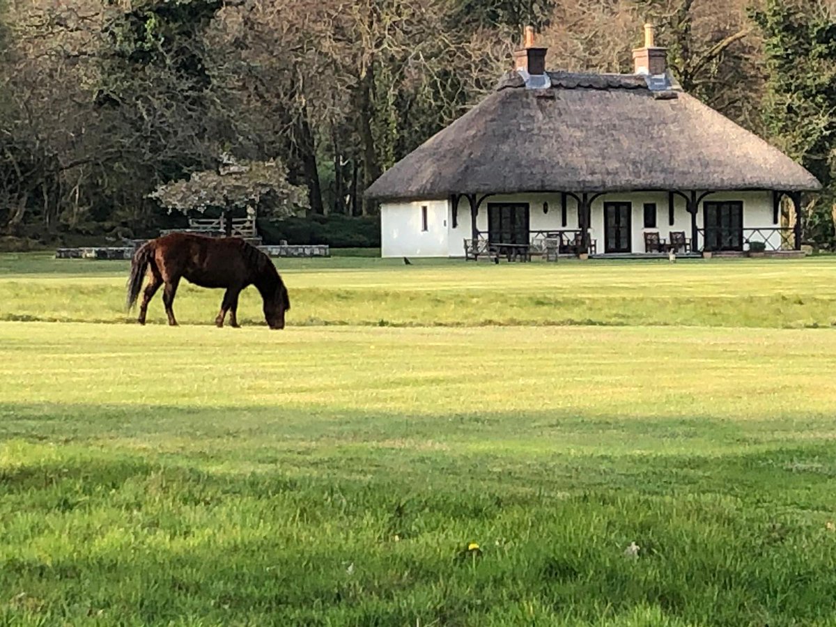 Gidleigh Park (@gidleighhotel) on Twitter photo This morning we have had a visit from a local Dartmoor pony, enjoying the peace and quiet and our lovely lawn!
<a href="/BrownswordHotel/">Brownsword Hotels</a> <a href="/RelaisChateaux/">Relais & Châteaux</a> This morning we have had a visit from a local Dartmoor pony, enjoying the peace and quiet and our lovely lawn!
<a href="/BrownswordHotel/">Brownsword Hotels</a> <a href="/RelaisChateaux/">Relais & Châteaux</a>