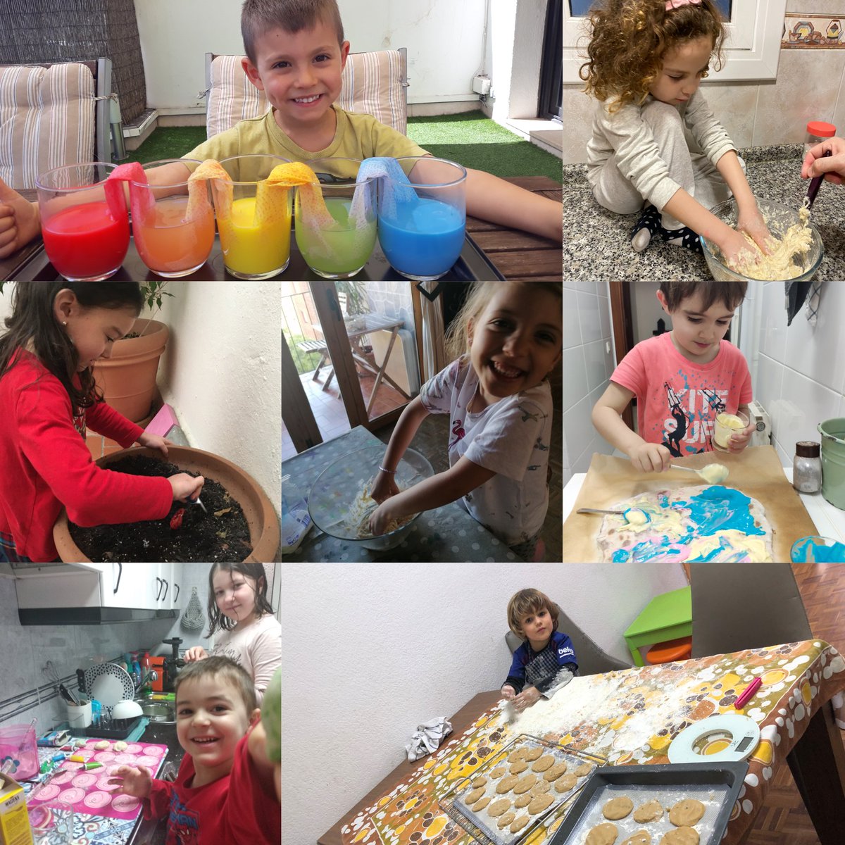 escolamagnolia's tweet photo. 🙂El nostre entorn mes proper aquests dies ens permet experimentar, tastar, manipular... 👍😉
Hi posem tota la nostra imaginació i en treiem uns bons resultats! Aquí ho podreu veure! #MagDirectes #Mag_Bcn https://t.co/a3V70DdyDv