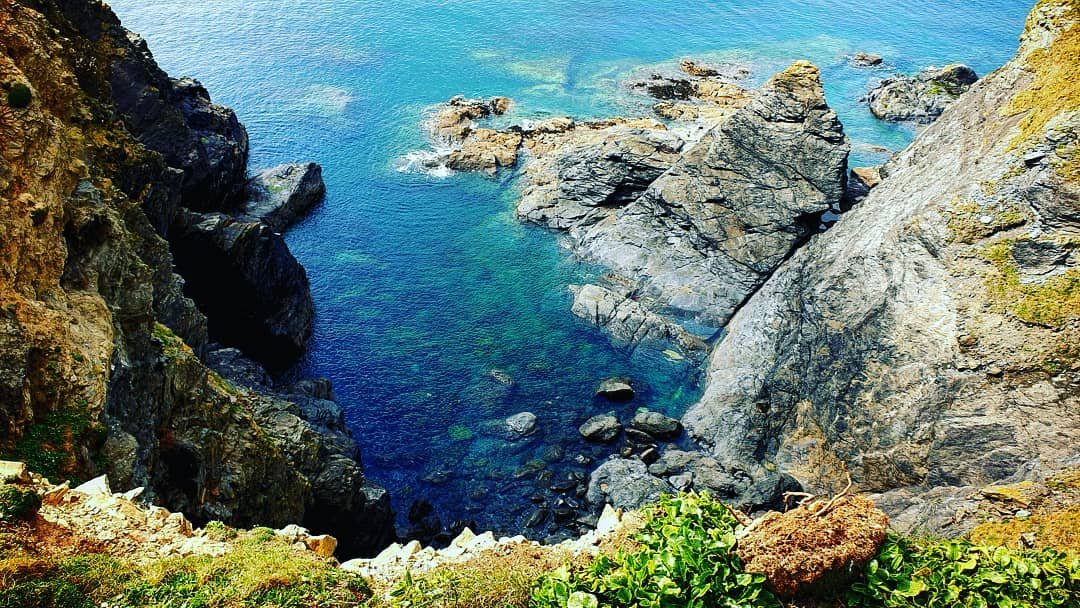 Colroger Holidays tweet media