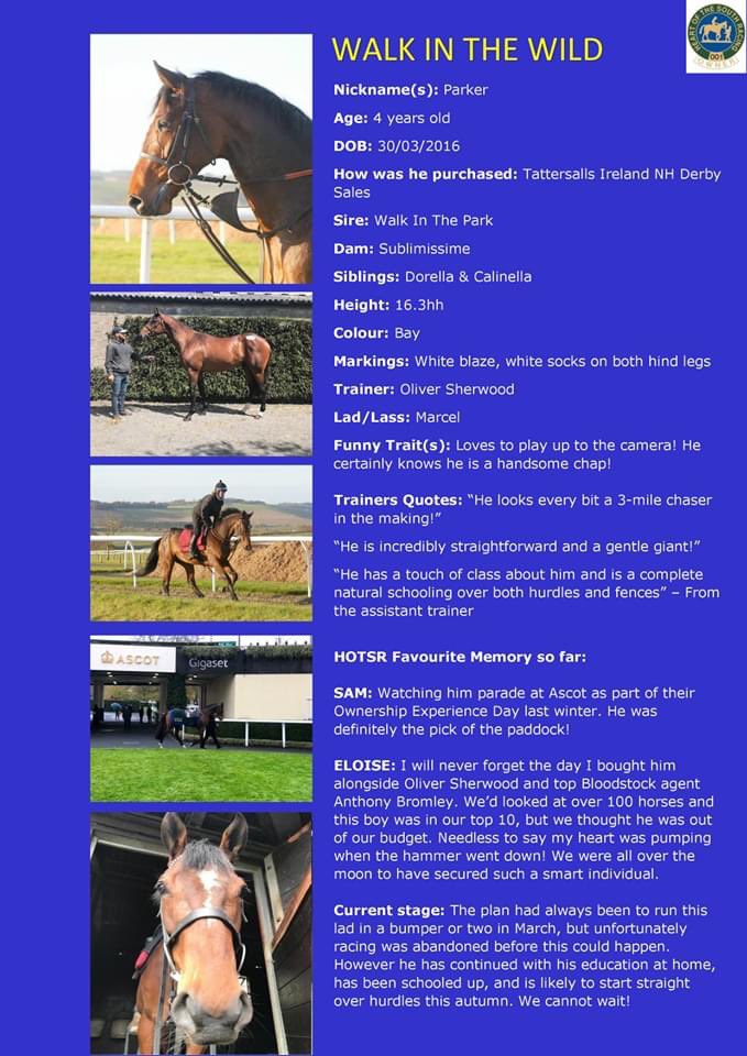 RacingHOTSR's tweet photo. W is for WAIKIKI WAVES & WALK IN THE WILD
Can’t wait to see both of these boys jumping this forthcoming NH season! Waikiki Waves already a 5-time winner over fences & Walk In The Wild looks to have a bright future! 🤞🏼Learn more about the boys here... #waikikiwaves #walkinthewild https://t.co/RFuWG4IPO1