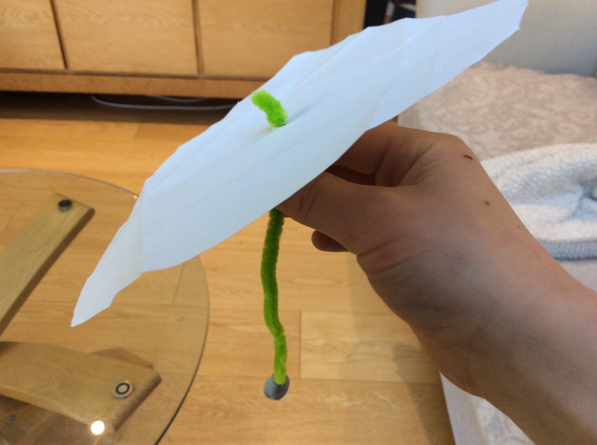 YMS_Year4's tweet photo. The children designed and created their own seed that could be dispersed by the wind for Science. Some fantastic designs and methods for testing them (including some being dropped from upstairs windows)! #science #ks2 #remotelearning #year4 #plants https://t.co/BppwzjhHdM