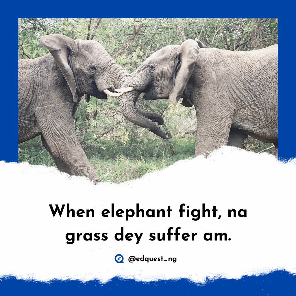 This means 'When powerful people clash, the weak suffer'. Do you agree?

#EdQuest #Learnwithedquest #TuesdayThoughts #Proverboftheday #AfricanProverbs