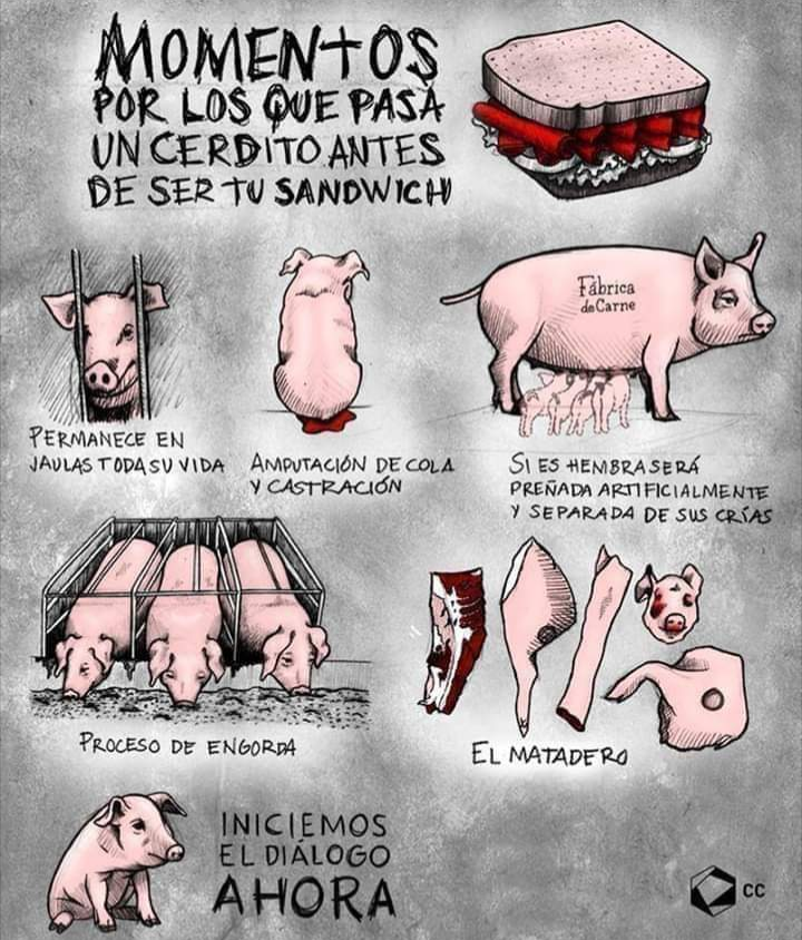 POCAHONTAS VEGANA💚 tweet media