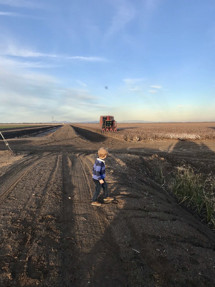 Collier_Samual's tweet photo. Digby just checking in on the job! Teach them young! @CaseIHAus #iamcaseih https://t.co/Y6fq4H5hYt