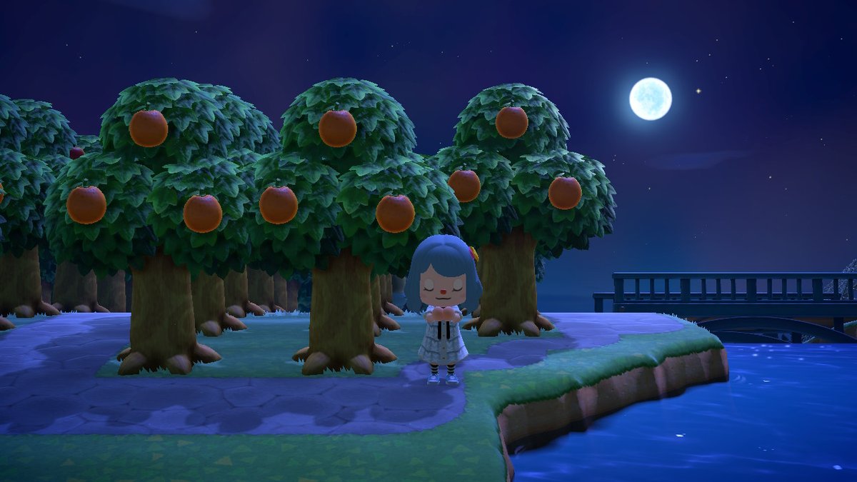 MAOMAOBA's tweet photo. #动物森友会 #AnimalCrossing #ACNH #Ni https://t.co/F8PMXjA81r