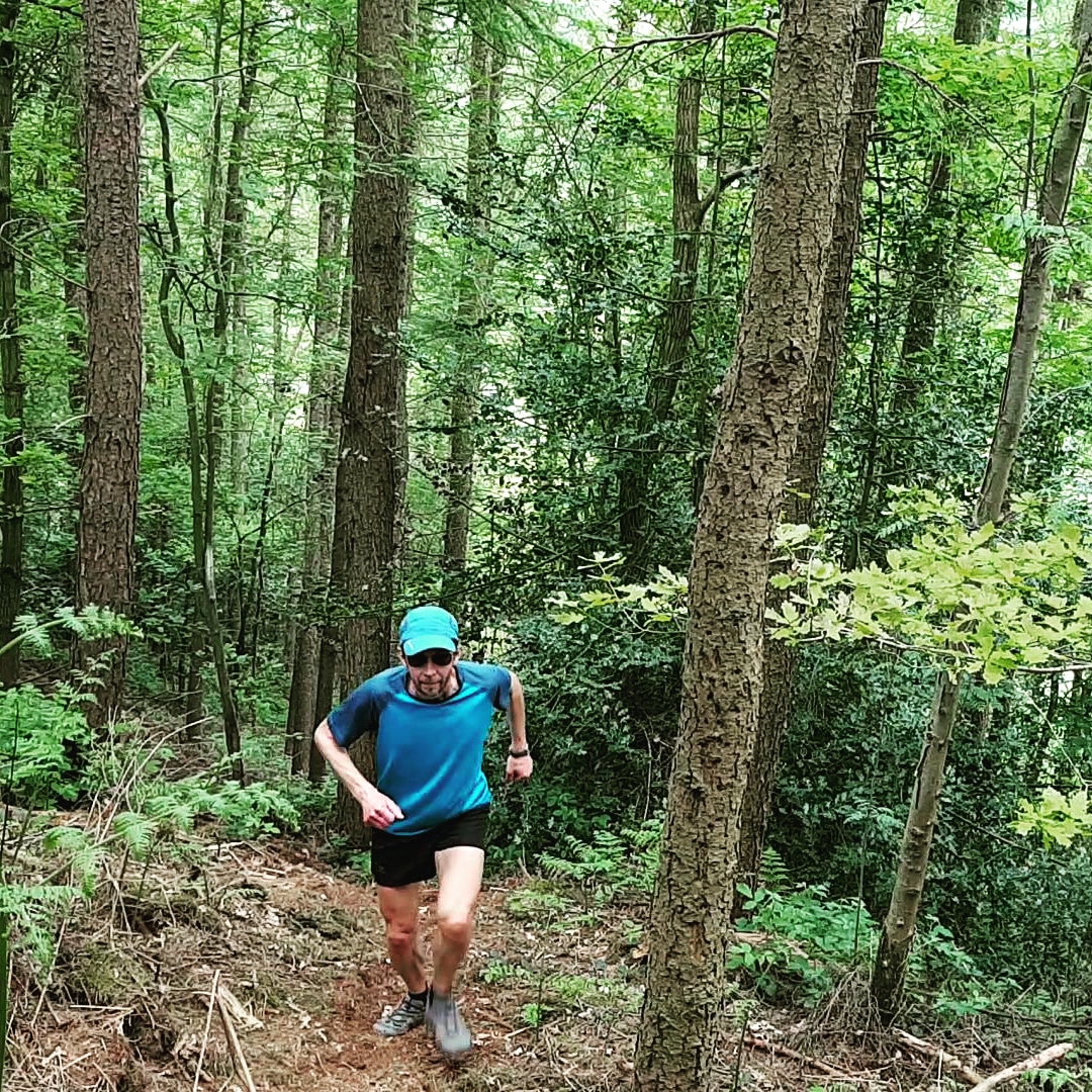 Love steep wooded trails
