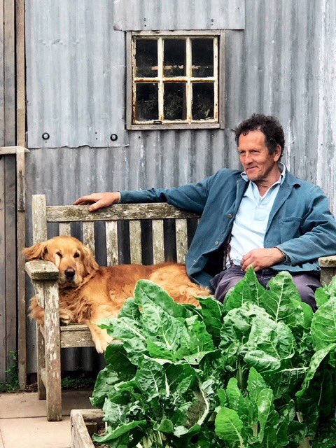 Thanks to all that have sent so many lovely and kind messages about Nigel. It has meant a great deal. I have posted many more pictures of him on my website montydon.com.
He is now in the garden and of the garden and we will celebrate his good life by living well.