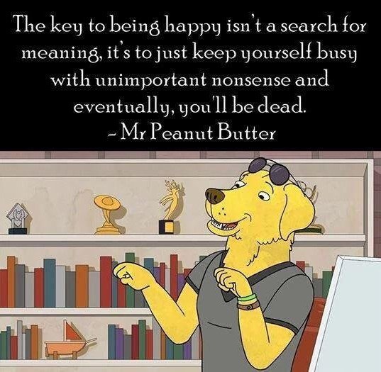 bernoulliCast's tweet photo. Mr. Peanutbutter: https://t.co/x6dDNZM4pA
