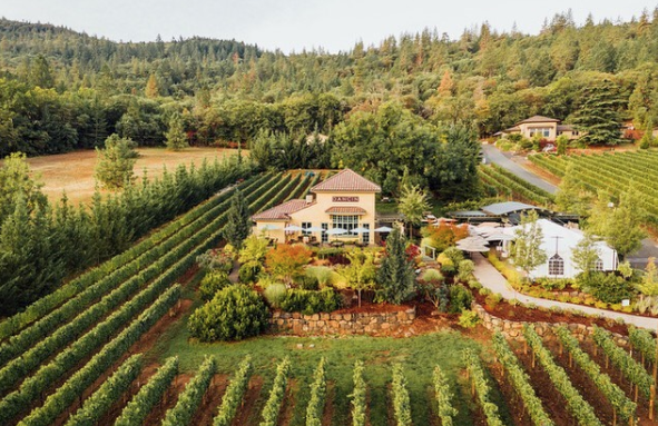 TravelOregon_nl's tweet photo. Zuid-Oregon - Rogue Valley🍇

In het zuiden van Oregon vind je een aantal (kleinere) wijnregio's zoals Rogue Valley met prachtige wijnhuizen zoals deze! 

📷 @dannyhall11
📍 Dancin Vineyards, Medford (Rogue Valley) https://t.co/gxlm5KTlpm