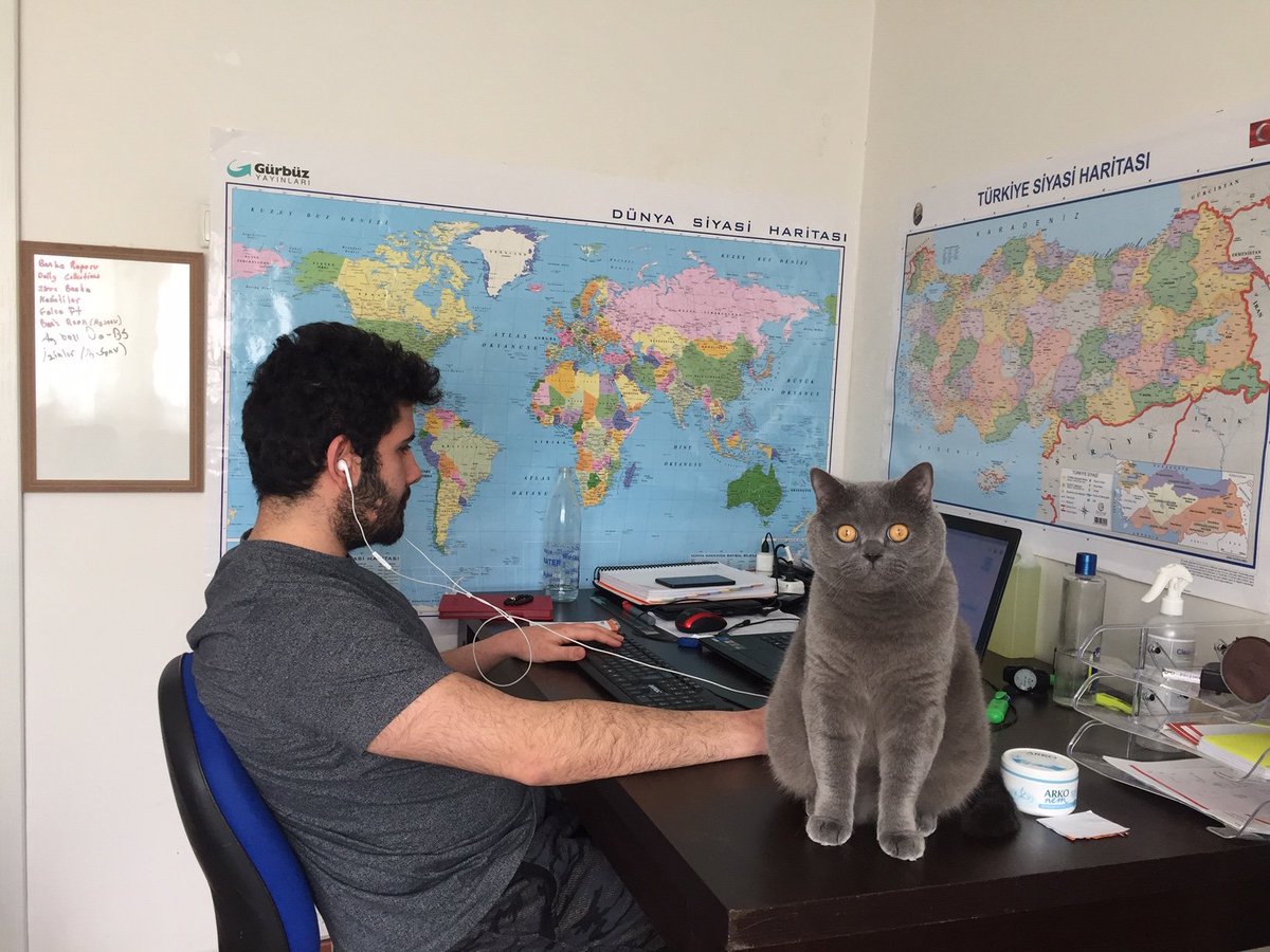 AyberkYurtsever's tweet photo. Evden çalışırken zaman zaman bazı 'tatlı zorluklar' da yaşamıyor değiliz :) #cbksoft #ekip #team #coronavirus #homeoffice #workingfromhome #evdençalış #EvdeKal https://t.co/kjxw8Gi588