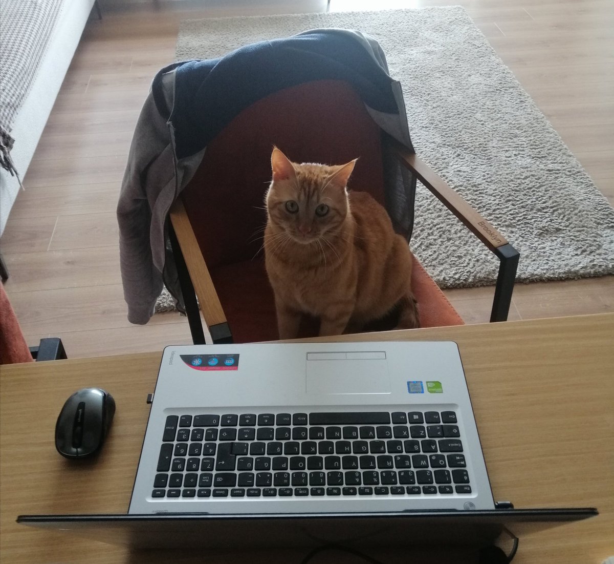 AyberkYurtsever's tweet photo. Evden çalışırken zaman zaman bazı 'tatlı zorluklar' da yaşamıyor değiliz :) #cbksoft #ekip #team #coronavirus #homeoffice #workingfromhome #evdençalış #EvdeKal https://t.co/kjxw8Gi588