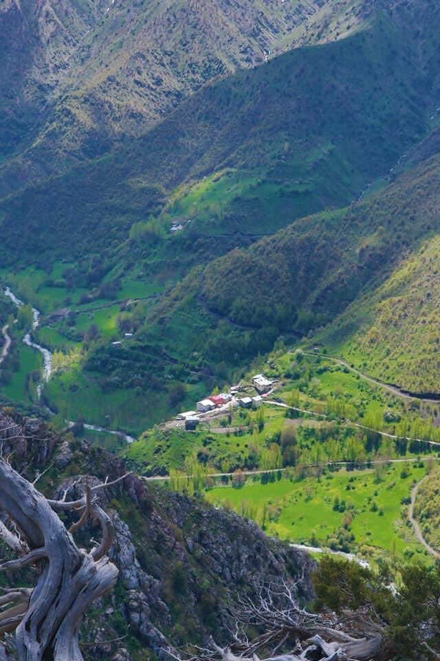 xweza_chiyager's tweet photo. Xweza û rengîniyeke veşartî û bêhempa
bi çûyîna vê gundê bi bedewiya wê bala herkesî dikşîne ser xwe
Gundê #Pertak yê girêdayê navçeya Xîzana bajarê Bedlîsê
Welatê me rengîn û bihuşt e https://t.co/eR9Go0x7mL