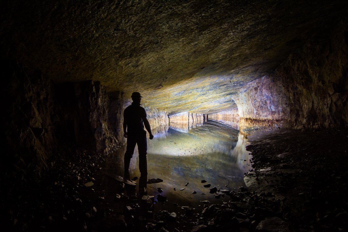 Julie_NITECORE's tweet image. TINI SS is a keychain flashlight that can burst out 380 lumens 🔦. It can be used for daily life and outdoor activities. With the rigid stainless steel body, the black version is uniquely endowed with delicate elegance 😁.

🔎 bit.ly/3cry565

#tiniss #keychainflashlight