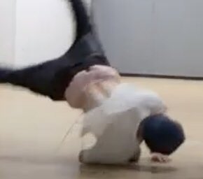 ㅌㅇ 🥊 tweet media