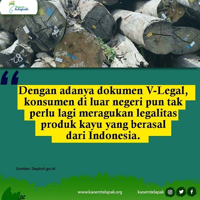 Data dari flegtimm.eu menunjukkan, secara nilai Ekspor Indonesia menggunakan Dokumen V-Legal/Lisensi FLEGT (Forest Law Enforcement Governance and Trade) meningkat.