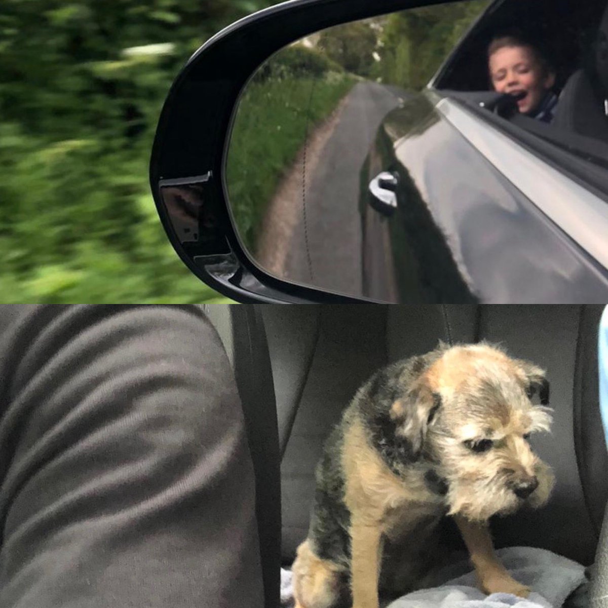 When your lad thinks he’s the dog and the dog is just a little bit upset about it....