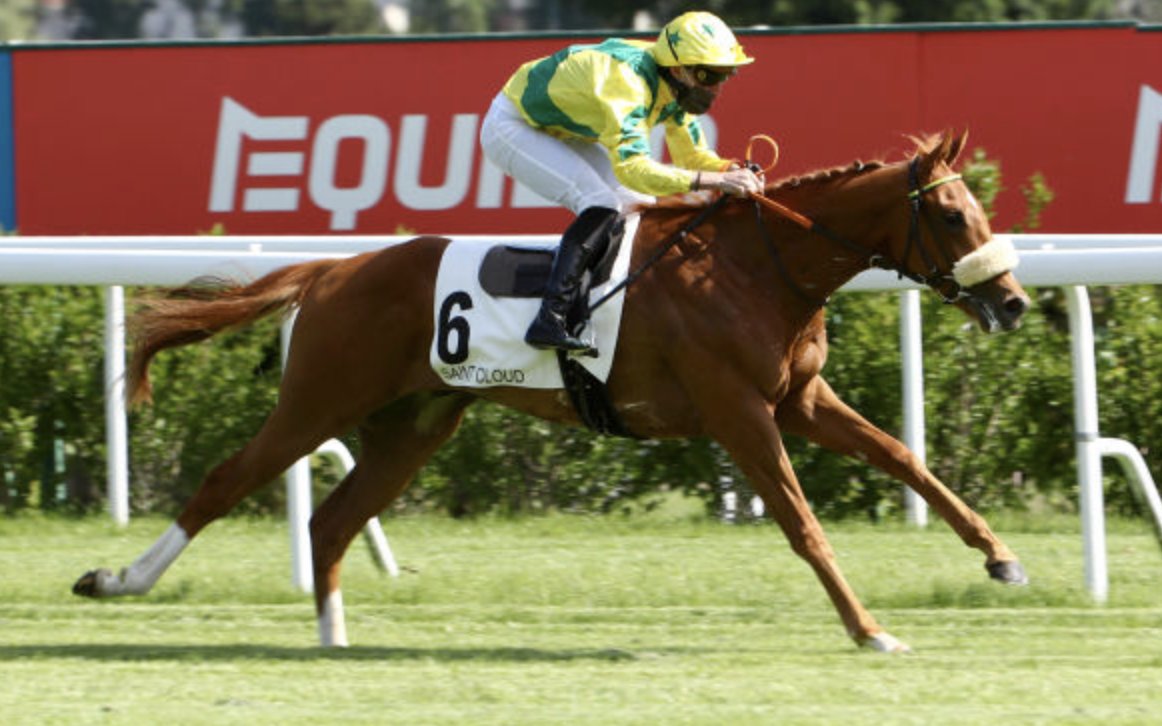 InfoArqana's tweet photo. 🏆The first 2yo winner of the season is August Yearling Sale graduate SEALIWAY, who scores by 2L in the Prix Kefalin at #SaintCloud! Owned by Haras de la Gousserie/G.Pariente @ChehboubPauline, trained by @rossi_frederic, bought by P.Nataf from @HarasColleville #Galiway #Precocity https://t.co/aWH0p5e5ol