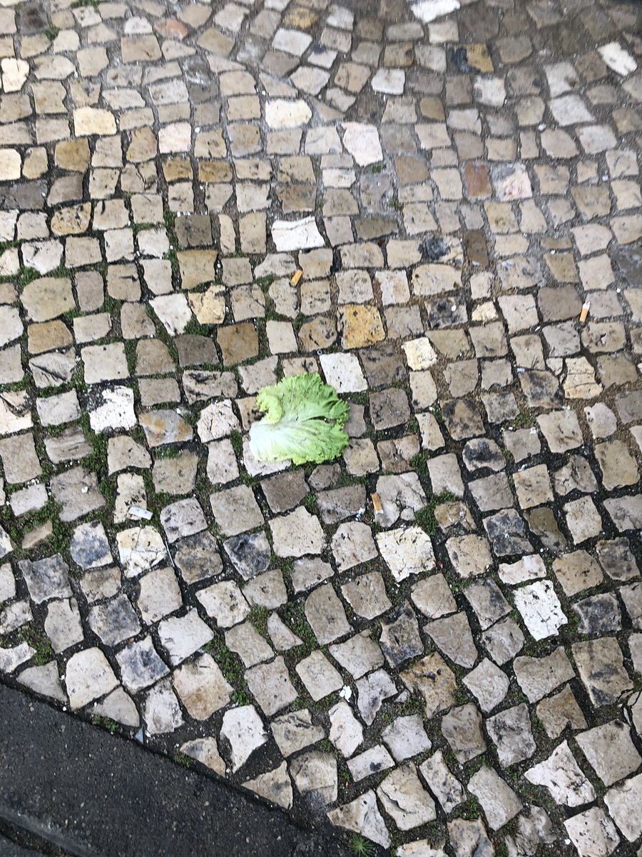 freak_da_passa tweet media