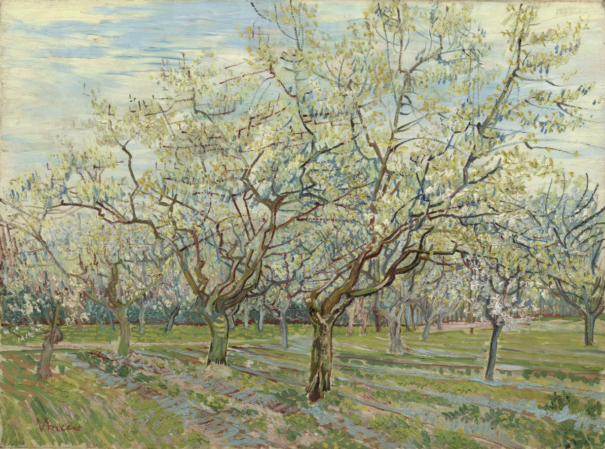 A colourful landscape in the South of France. Flowering trees everywhere you look! 🌸 📝 ‘The season of orchards in blossom is so short, and you know these subjects are among the ones that cheer everyone up’, wrote Vincent. He thought that paintings like this would sell well.
