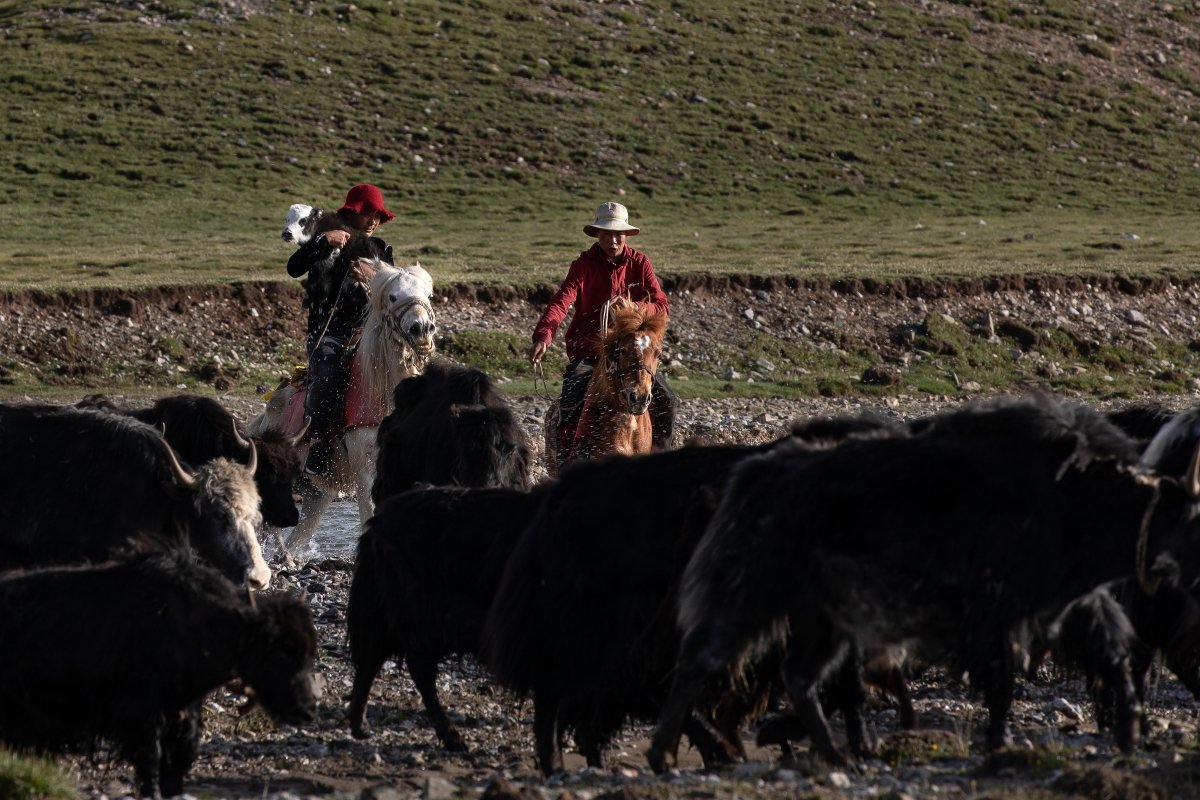 2019. On Assignment for Kora outdoor, visiting Tibetan nomad families and being able to spend time with them and their way of life has been a true privilege. Their relationship with nature has been lingering in my head lately. So much we could learn from them. Datserung!