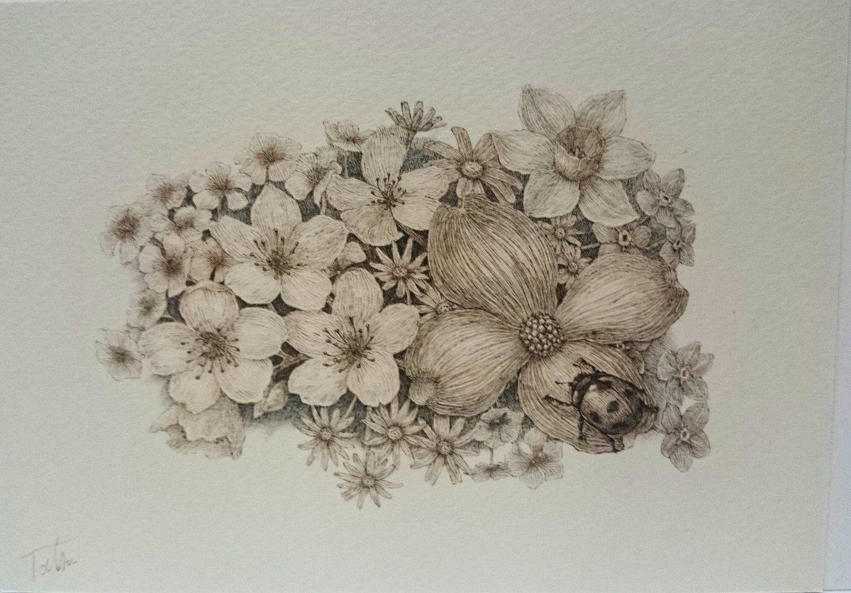 Twoucan ハナミズキ の注目ツイート イラスト マンガ コスプレ モデル